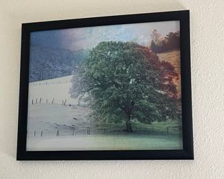 Coolest picture ever!  As you walk past it the leaves on the tree change from gold to green to white - as the seasons change!