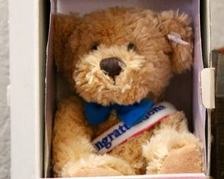Mail Me Messengers cute teddy bear