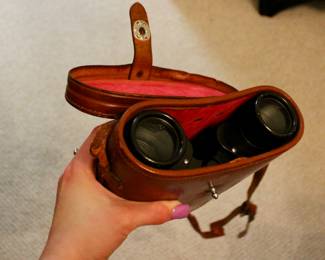 Binoculars with case