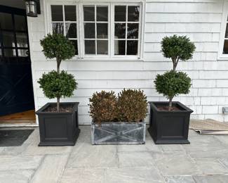 https://townandsea.com/sales/the-collected-cottage/