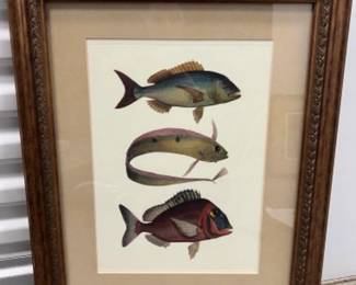 Framed Trio of Fish Art Print - Jewel Tone Colors