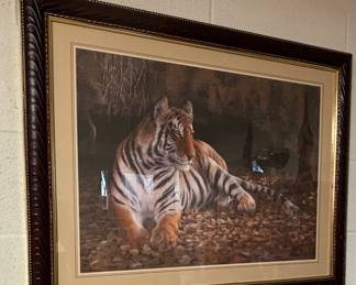 beautiful large framed tiger picture