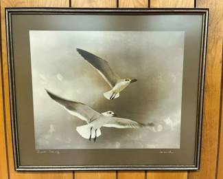 71A Joseph Manch Birds Soaring Original Gelatin SIlver Printmin