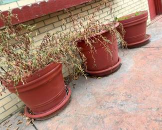 71A XL Plastic Plantersmin