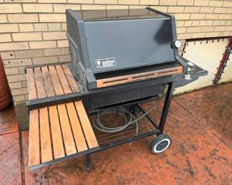 71A Weber Gas Grillmin