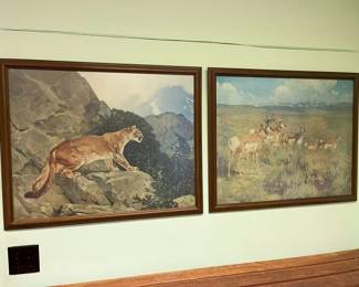 71 Moritz Rungius Puma  Pranghorn Antelope Printsmin