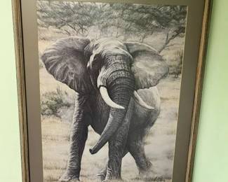 71 Curry Elephant Printmin