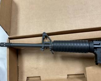 CLOSEUP VIEW FRONT SIGHTS