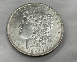 CLOSEUP VIEW