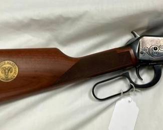CLOSEUP VIEW LEVER ACTION