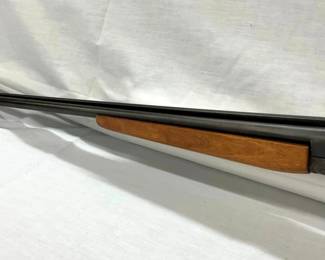 CLOSEUP VIEW