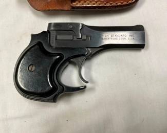 22MAG. W/ HOLSTER