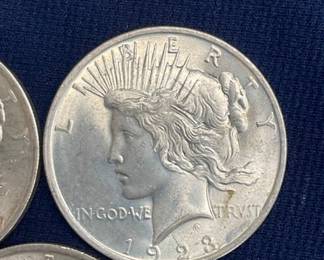 CLOSEUP VIEW