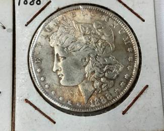 CLOSEUP VIEW