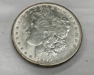 CLOSEUP VIEW