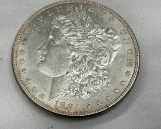 CLOSEUP VIEW