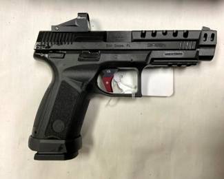 17 RDS PERRY SIGHTS