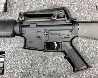 PALMETTO STATE ARMORY 556