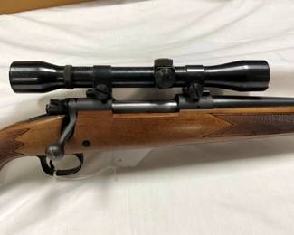 CLOSEUP VIEW W/ SCOPE