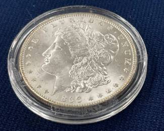 CLOSEUP VIEW