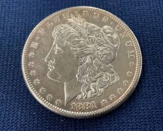 CLOSEUP VIEW