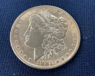 CLOSEUP VIEW