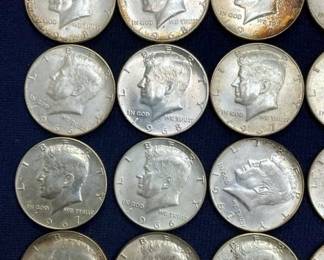 CLOSEUP VIEW