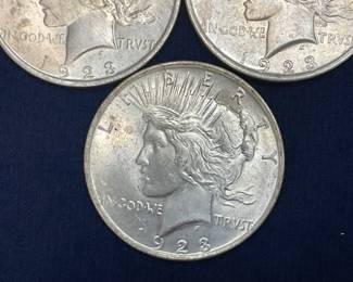 CLOSEUP VIEW