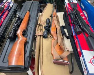COLLECTION OF AIR RIFLES