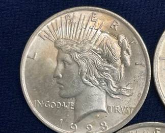 CLOSEUP VIEW