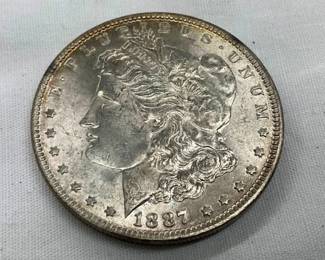 CLOSEUP VIEW