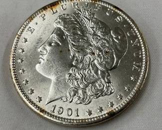 CLOSEUP VIEW