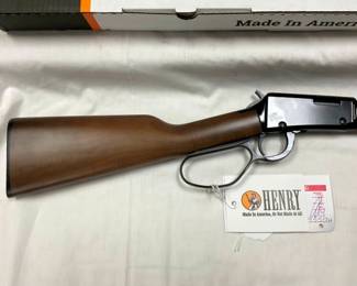 CLOSEUP VIEW LEVER ACTION