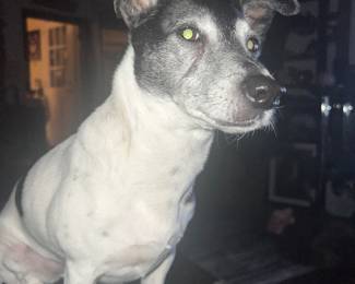 Don't hate because I'm beautiful... 