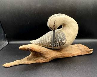 Harry Monk Shore Bird