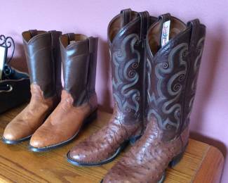 Tony Llama full quill ostrich leather foot and coffee crunch goat top