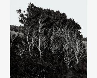 85.  John Gutowski Untitled Landscape Gelatin Silver Print