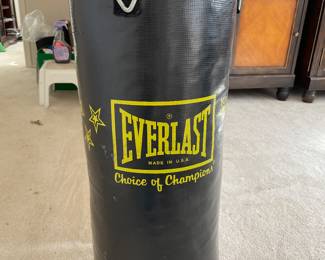 Everlast punching bag