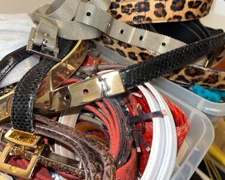 Designer Belts 