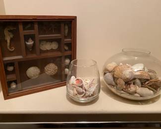 Seashells By the Seashore