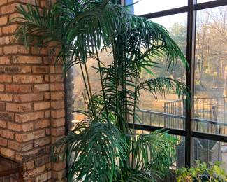 faux large tropical plant
