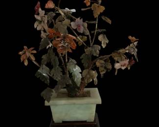 Chinese Jade Tree in Jade Planter
