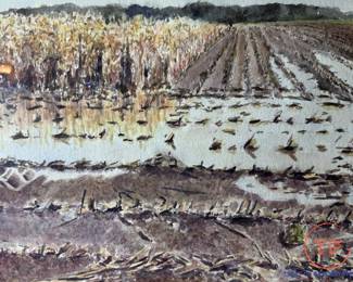 Original Framed Watercolor Unsigned