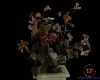 Chinese Jade Tree in Jade Planter