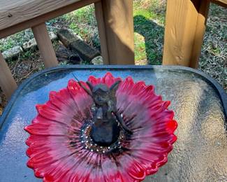 Bird Bath