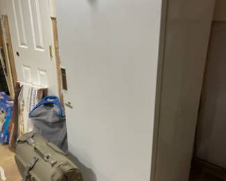 Freezer $100