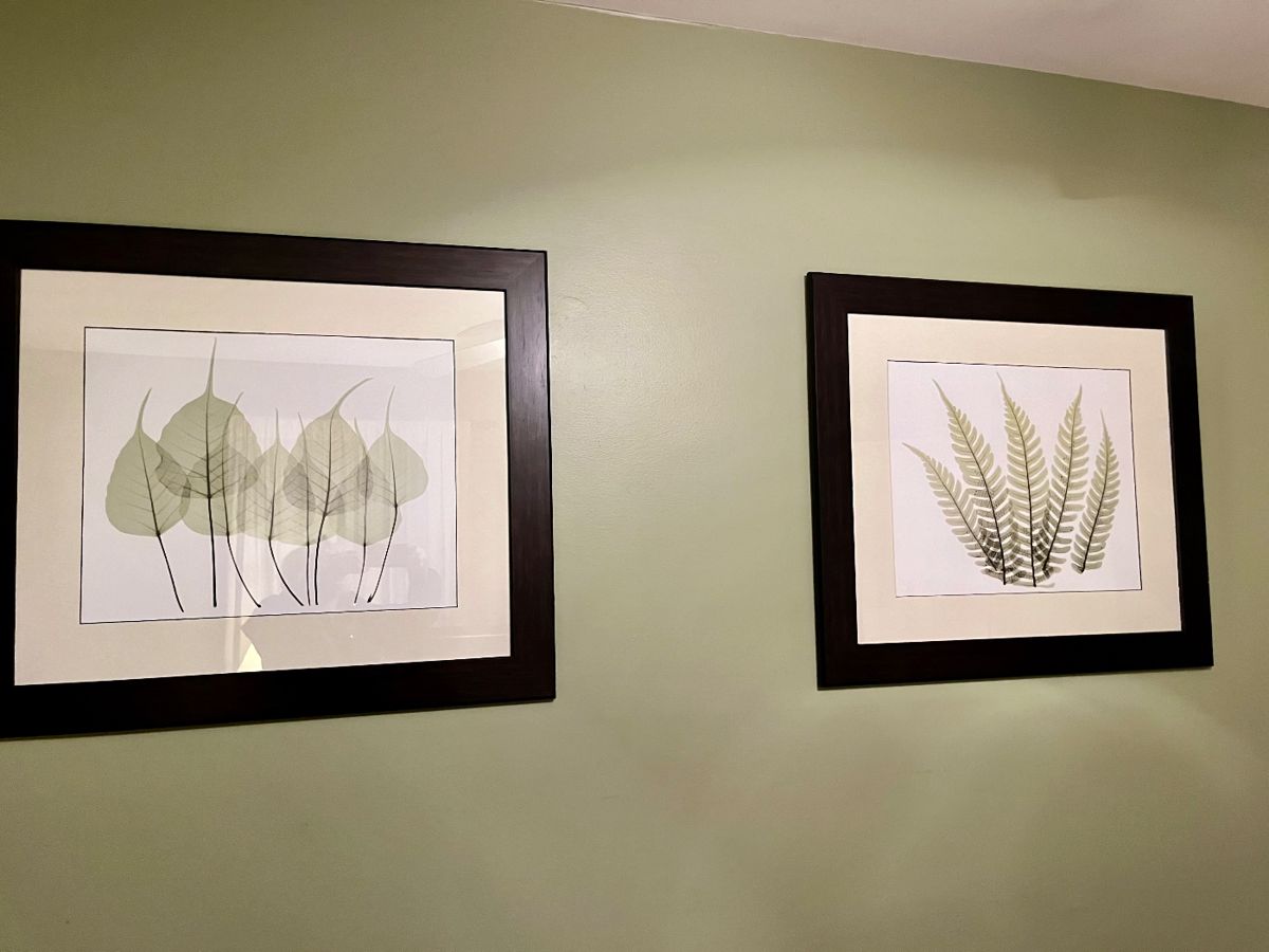 HALF PRICE SUNDAY ESTATE SALE ANDERSON... starts on 2/3/2024