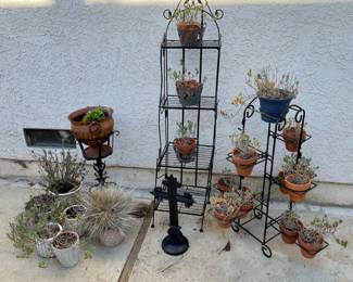 Plant stands and Planters