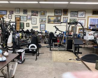 Various Exercise equipment name brands including bow flex, fitness flyer, torso track elliptical, tread mills and weights 