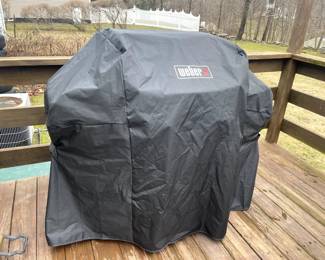 Weber grill